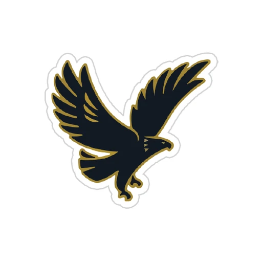 Al Ahly FC [12]