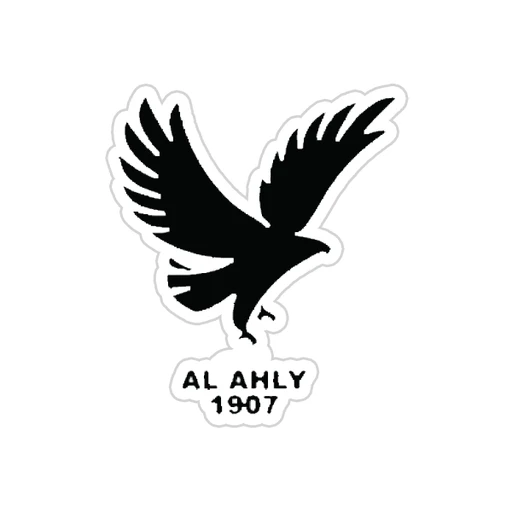 Al Ahly FC [13]