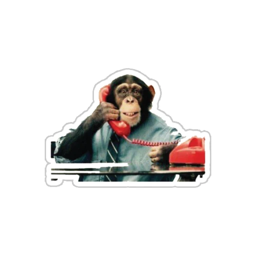 Call Center [11]