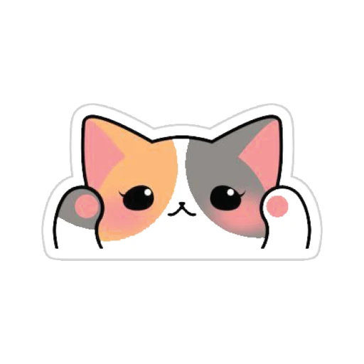 Cat [13]