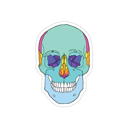 Dentistry - (14)