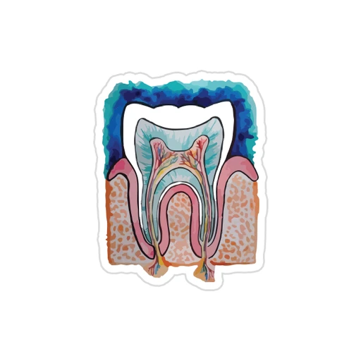 Dentistry - (15)