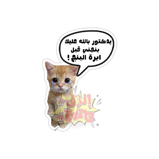Dentistry - (2)