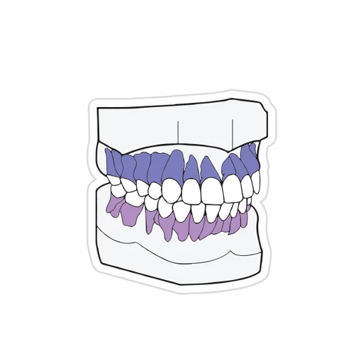 Dentistry - (35)