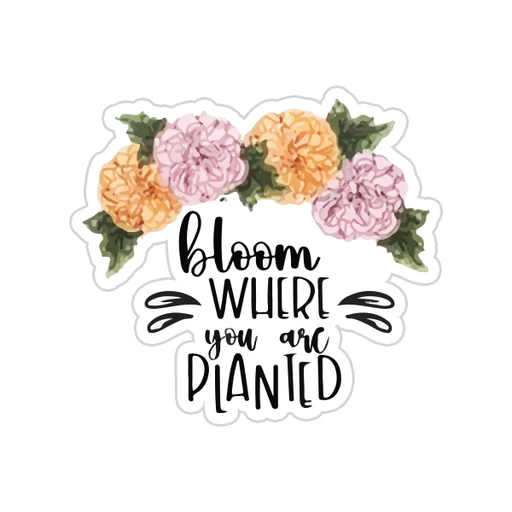 English Quotes [30]