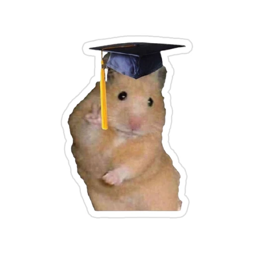 graduation [20]