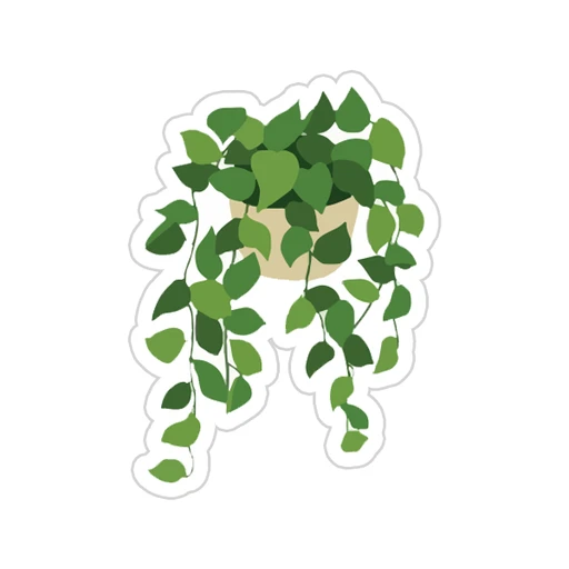 Green [20]