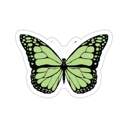 Green [26]