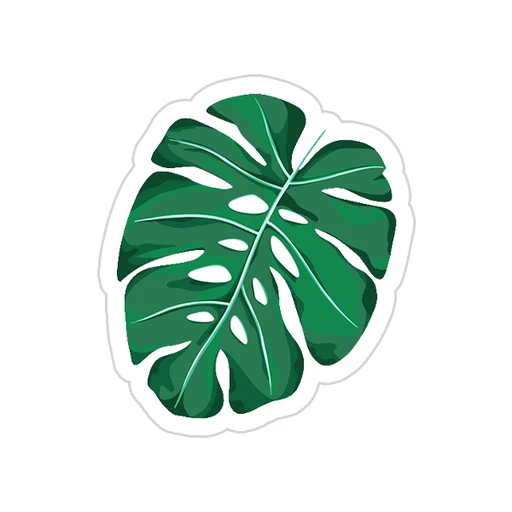 Green [37]