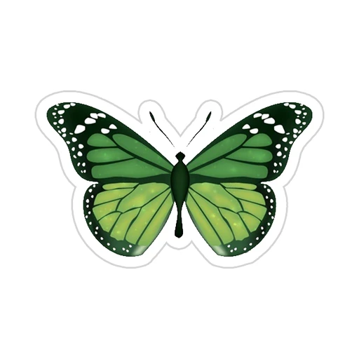 Green [43]