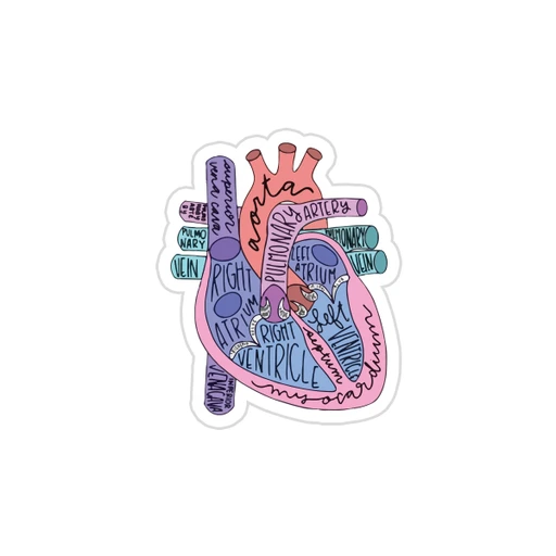 Medicine [28]