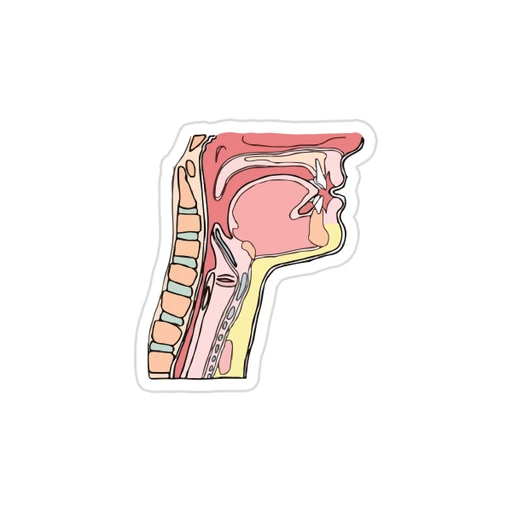 Medicine [3]