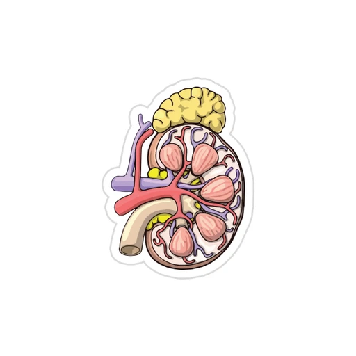 Medicine [31]