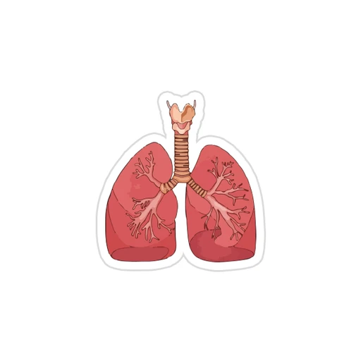 Medicine [34]