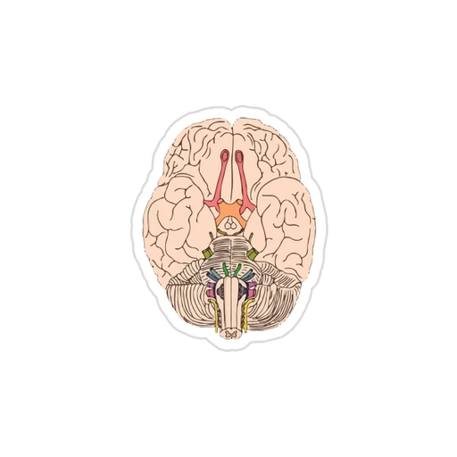 Medicine [57]