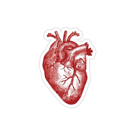 Medicine [61]