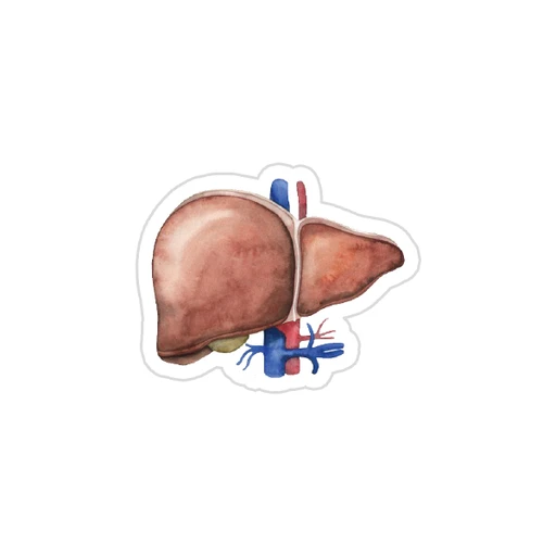 Medicine [84]