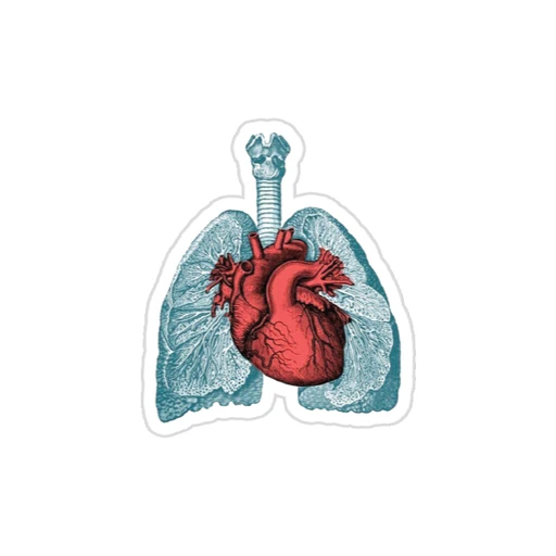 Medicine [89]