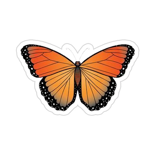Orange [5]