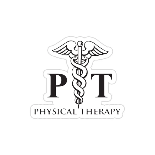 physical therapy [17]