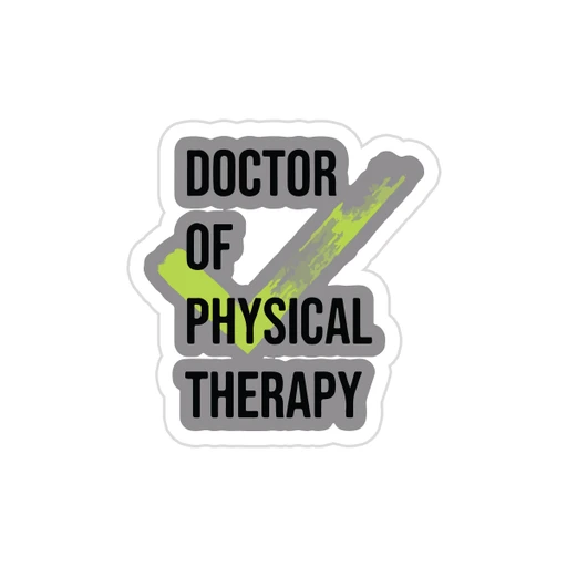 physical therapy [3]