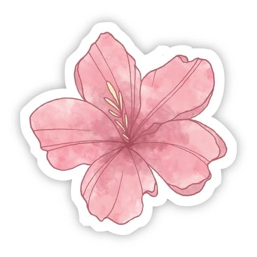 pink flower -