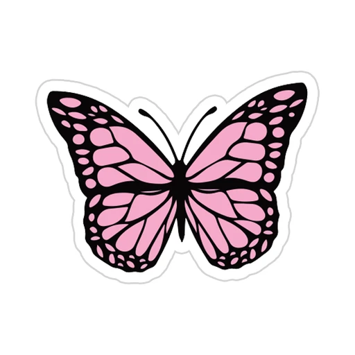 Pink [39]