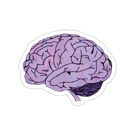 Purple [27]