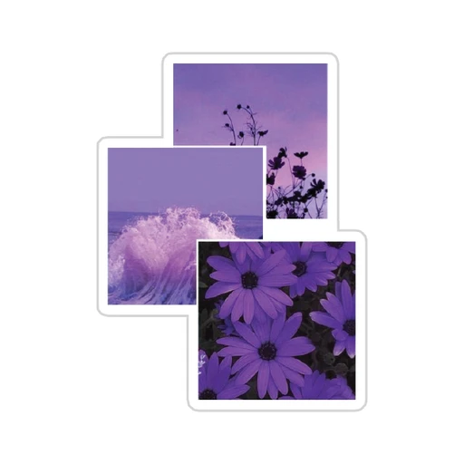 Purple [29]
