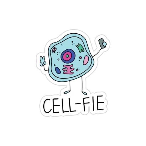 Science [66]