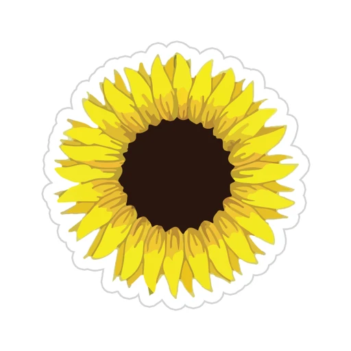 Yellow [12]